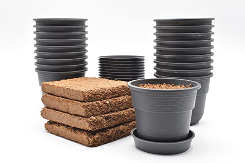 Plastard Anzuchttöpfe ⌀ 8 cm 20 Stück mit Untersetzer & Kokoserde Saattöpfe | Witterungs- UV & frostbeständig, Indoor & Outdoor Pflanztöpfe, klein & robust, ideal für Mini-Gewächshaus, ideale Anzuchtset