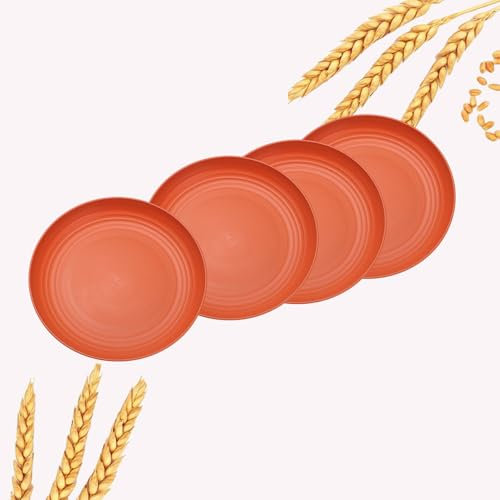 GZTFPQ Unbreakable Dinner Plates Set, Plastic Deep Camping Plates, 20cm Picnic for Salad, Pasta, Party, Home, Office, BPA Free Microwave and Dishwasher Safe