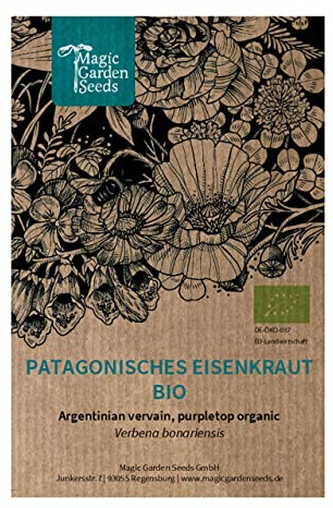 Patagonisk verbena (Verbena bonariensis) Ekologisk - ca 200 frön