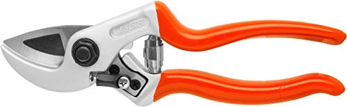 Forbice Profi Amboss 19
