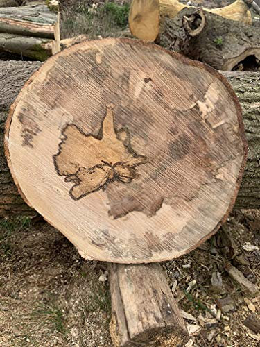 KJR Holzmanufaktur Baumscheibe, Holzscheibe,40/5cm