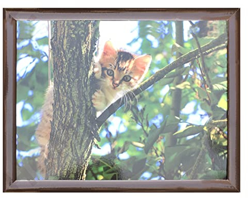 Cat On Tree Cushioned Bean Bag laptray Home Laptop Tray Drinks Food Breakfast Lap Tray
