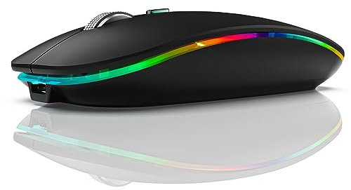 Sknrlko BT5.1+2.4Ghz Wireless Mouse with Mouse Jiggler,Rechargeable 2.4G Mouse, Mouse Mover for USB-Enabled Computer Reusable Easy to Use Black