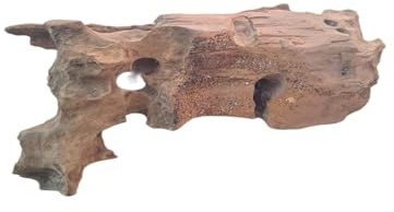 Natunae Large Driftwood Wood Natural Decoration for Freshwater Aquarium, Terrarium, Reptiles, Vivarium and Paludarium (M) 28-30cm