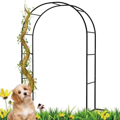 Arche de jardin large en acier noir pour plantes grimpantes, arche de mariage avec base 350 cm x 220 cm