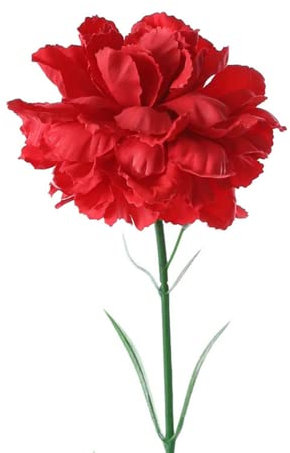 Rikyo 10 Stück Blumenstrauß aus künstlichen Seidenblumen, Nelken, einzelner Blumenkopf 51 cm Blumenstrauß und Blatt für Tischaufsätze, Braut,Hochzeit, Party, Geburtstag, Kuchendekoration (rot)