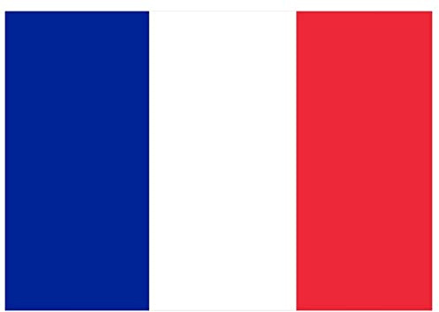 Samunshi® Frankreich Flagge Aufkleber Autoaufkleber in den Nationalfarben - 30x21cm
