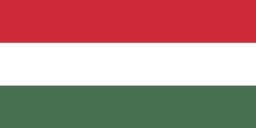 Premium Fahnen Flagge - 90 x 150 cm / 150 cm 90 cm - aus Polyester mit goldenen Ösen - Langlebig und Wetterfest (Ungarn)