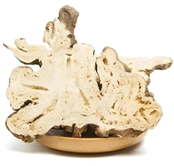 Rizoma De Atractylodes Lancea Seco Natural En Té Suelto Perfumado Hierbas Verdes Baizhu Tradicionales Hechas a Mano Té De Hierbas Chino Original (250g)
