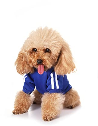 Puppy & Dog Hoodies, Sweaters & Jumpsuits - Fleece Sweatshirts for Small, Medium & Large Dogs & Cats