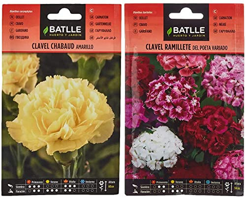 Clavel Chabaud AMARILLO & Clavel RAMILLETE del Poeta Vdo.
