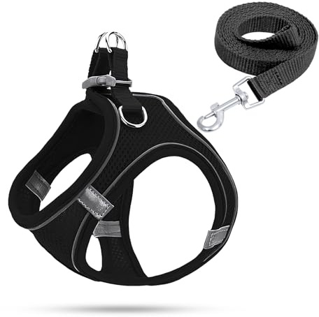 Hundegeschirr Kleine Hunde,Welpengeschirr Katzengeschirr Hunde Geschirr Leuchtend mit Leine,Curli Hundegeschirr Geschirr Hund Welpen Zubehör(Schwarz,XS)