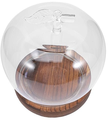 GETAJGHSD 1paquete De Con Base Para Flores Preservadas Decoración De Manzana Día De San Valentín y Ocasiones Especiales