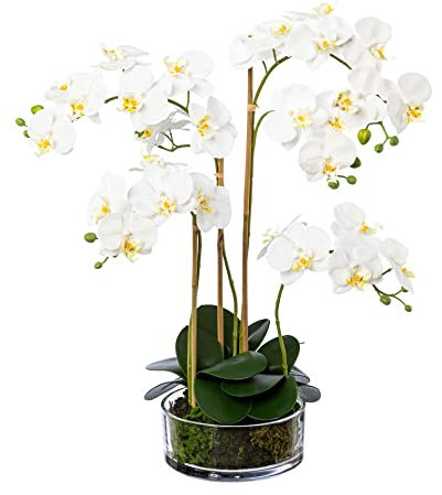 Kunstblume PHALENOPSIS ca. 50-60cm weiß, WEISS. Phalaenopsis Orchidee im massivem Glas 20 cm.