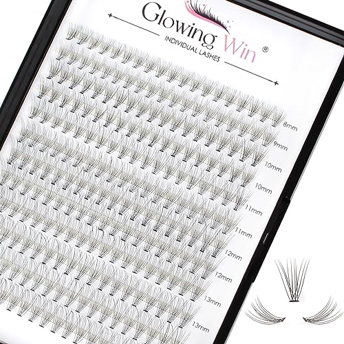 Glowing Win Lashes Cluster 228PCS Wispy Individual Eyelashes Natural 10D | 8-15mm, 0.07C Curl, False Eye Lashes Individual, DIY Lash Extensions At Home, Reusable