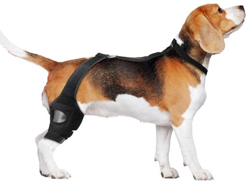 Pet Knee Strain - Back Leg Dog Adjustable Soft Protector | Supports Weakness, Injury Rehabilitation, Improving Mobility, M