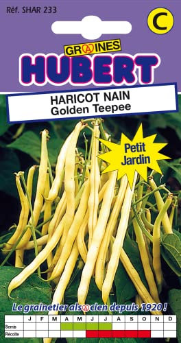 50 Graines de Haricot nain Golden Teepee - Format Petit Jardin