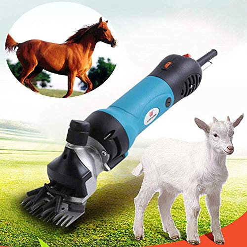 Tondeuse électrique pour moutons 690 W Tondeuse de toilettage professionnelle robuste pour animaux de compagnie avec 6 vitesses pour raser la laine de fourrure chez les moutons, les chèvres, l'alpag