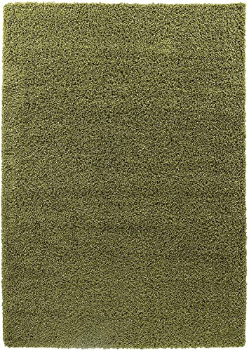 Monal Shaggy Rugs 5cm High Pile Extra Large Medium Small Soft Thick Non-Shedding Modern Hallway Living Room Area Carpet Rug (160 x 230 cm, Green)