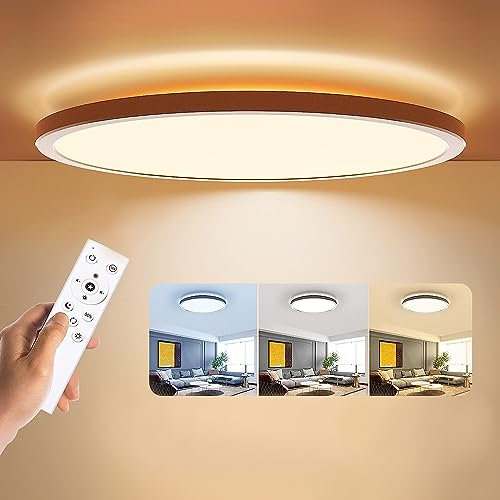 BLNAN Plafoniera LED Soffitto Dimmerabile con Telecomando, Lampada da Soffitto 24W 2400lm con Cambio Colore, 3000K-6500K Moderna per Soggiorno Camera da Letto Camera Bagno il giro 30x2.5cm