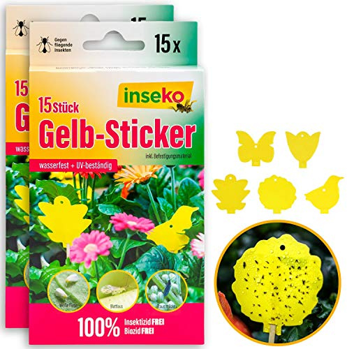 inseko 30x Profi Gelbsticker – Gelbfallen gegen Trauermücken & Weiße Fliegen – 100% giftfrei – für Zimmerpflanzen & Garten