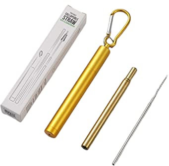 1 paille pliable réutilisable en acier inoxydable portable avec étui porte-clés en aluminium et brosse de nettoyage portable haut de gamme pour voyage, maison, travail (paille dorée + boîtier doré)