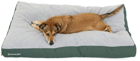Doctor Bark Hundekissen Große Hunde Waschbar - Hundebett Weich Flauschig - Strapazierfähiges Kuscheliges Liegekissen - GreenLabel (L - 100x72 cm, Grün)