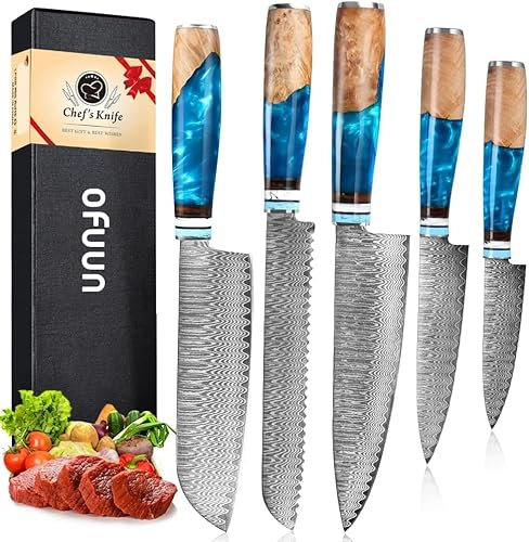 oFuun Küchenmesserset Damast Kochmesser Profi, 5-Teilig Scharfes Chefmesser 20cm Japanisches Damaststahl 67 Schichten Mit Ergonomischem Griff Für Fleisch