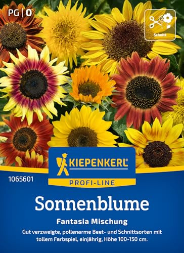 Kiepenkerl Sonnenblumensamen Fantasia Mischung, F1 1065601 - Blumensamen für Beet- und Schnittsorten mit Inhalt für 20 Pflanzen - Saatgut