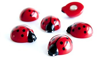 Trendform Sortierte Büro - Magnete Für Tierische Stile Für Magnetische Whiteboards, Notizbärte, Aktenschränke Oder Kühlschranks - Lady Bugs - Pack von 6