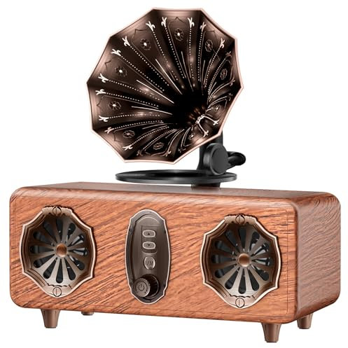 FREEFISH Altavoz Bluetooth de radio retro, radio FM vintage, radio Bluetooth, decoración vintage, regalos para hombres, altavoces de 5 W, Bluetooth 5.3, compatible con tarjeta TF/AUX/USB, batería de