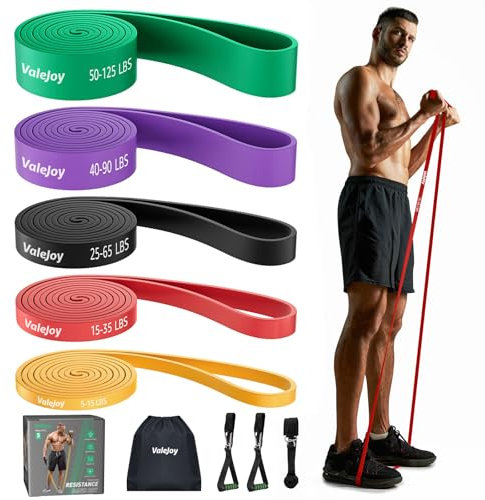 ValeJoy Resistance Bands, Pull Up Assist Bands with Door Ancher and Handles, 5 Different Levels Exercise Workout Bands for Fitness Training, Body Stretching, Physical Therapy, Muscle Training