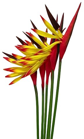 Rikyo 6 Stück Künstliche Blumen Paradiesvogel, 58,4 cm permanente Blume, Strelitzia Tropische Kunstpflanze, Blumensträuße für Büro, Zuhause, Party-Dekorationen, Arrangement (gelb)