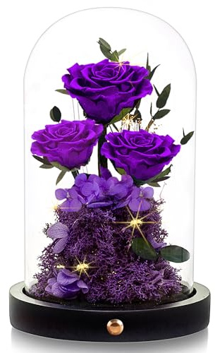 Agrul Mothers Day Flowers Roses Gifts for Mom,Forever Preserved Flower Rose in Glass Dome Fresh Flowers for Delivery Mothers Day Roses Gifts for Wife Women Mom Grandma from Daughter/Purple Rose