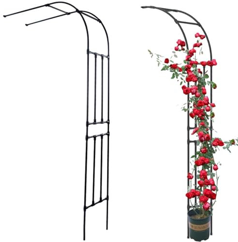 Schwarzer Gartenbogen aus Metall, halbseitiges Spalier, Pergola-Laube für Kletterpflanzen, wetterfester Stützbogen für den Außenbereich für Partys, Hochzeiten, Hinterhofterrassen(120x240x40CM/3.9x7.9x