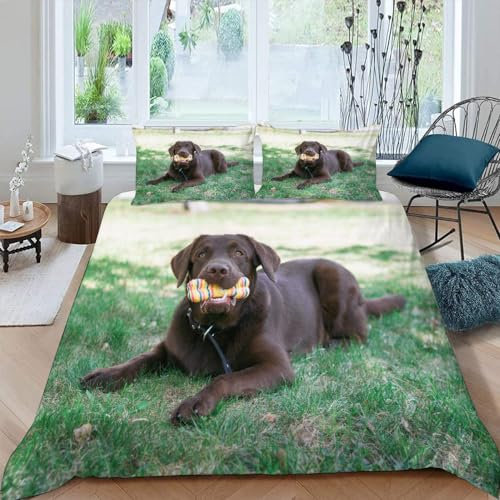 DILANI Bettwäsche 220x240 Labrador Bettwäsche-Set 3 Teilig 3D Druck Hund Tier Bettbezug Weich Mikrofaser Bettbezüge mit Reißverschluss und Kissenbezug 80x80cm für Erwachsene Kinder