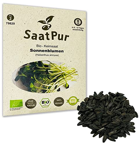 Sonnenblumen BIO Keimsprossen von SaatPur - Sprossen, Microgreens - 50g