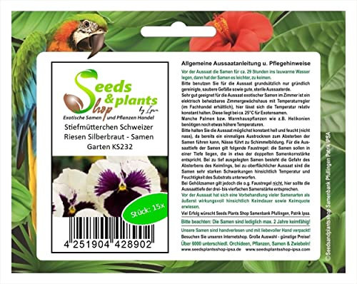 Stk - 15x Stiefmütterchen Schweizer Riesen Silberbraut - Samen Garten KS232 - Seeds & Plants Shop by Ipsa