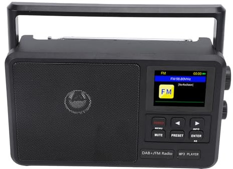 Portable FM Radio, USB BT Large Knob Tuning Sleep Off Timing Wireless Fidelity Internet DAB FM Radio with Support Multiple Functions, Excellent Sound Quality (UK)