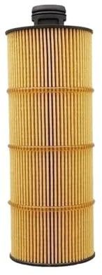 Elemento Filtrante De Aceite De Motor 1001929229 1002003545 For Motor De Camión WP7 WP8