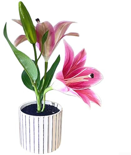 Springwillfly Planta artificial de interior en maceta de bonsái de lirio adecuada para estante de mesa y decoración de alféizar de ventana (rojo)