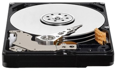 Western Digital Scorpio Blue - Hard disk interno SATA da 250 GB, 5400 giri/min, OEM (8 MB, 2,5, compatibile con Sony Playstation PS3)