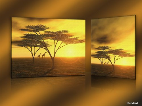 wandmotiv24 Leinwandbild Afrika Nr. LW5 - Wandbild Keilrahmenbild Leinwand Größe: 80 x 60cm (BxH) hoch