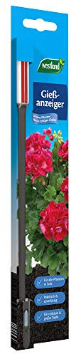 Westland Indicatore di irrigazione Grande, 26 cm, Antracite – Indicatore di irrigazione, indicatore del fabbisogno d'Acqua per Piante in Vaso