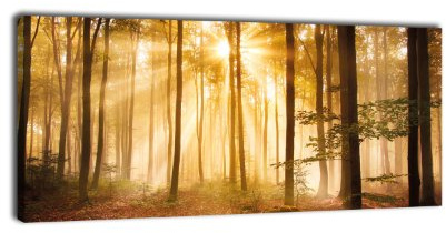 wandmotiv24 Leinwandbild Panorama Nr. 320 Wald am Morgen 100x40cm, Keilrahmenbild, Bild auf Leinwand, Dunst Stimmung Baum
