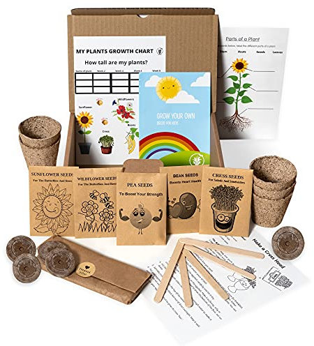 Kids Gardening Set, Grow Your own kit for Children, Wildflower Seeds, Garden Set for Kids, Seed Kits for Kids, Kids Survival kit, Childrens Gardening Set, Kids Activity Pack (Grow Your Own Deluxe)