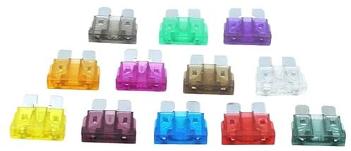 NISZA 10-teiliges mittelgroßes Auto-Sicherungssortiment, Standardsicherung 5 A, 10 A, 15 A, 20 A, 25 A, 30 A, Auto-LKW-Sicherungssatz, Auto-Flachsicherung (Size : 1A)