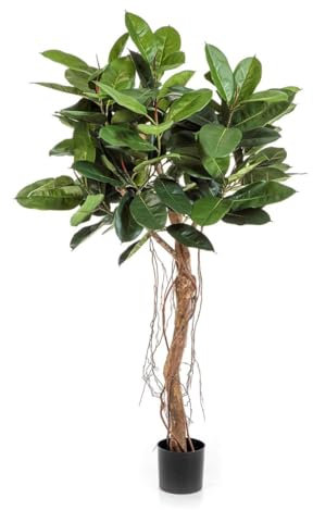 artplants.de Deko Gummibaum ADORU, Naturstamm, grün, 155cm - Kunst Gummibaum