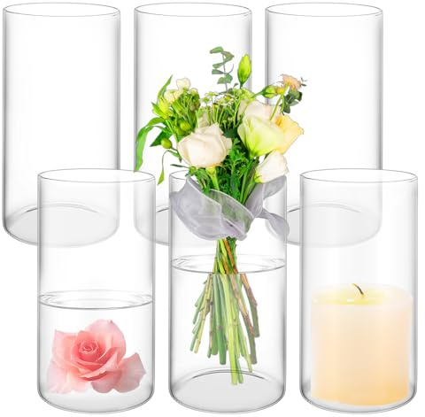APACALI 6 Stück Glasvase Gross, 20x10CM Blumenvase Zylindrisch, Klar Glasvase Rund Schmale Vase klarem, Glas Blumenvase für Orchideen, Rosen, Tulpen, Pampasgras, Tischdeko, Kerze