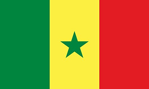 magFlags Drapeau Large Sénégal | drapeau paysage | 1.35m² | 90x150cm